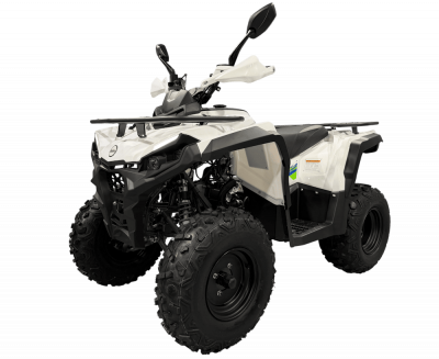 Квадроцикл Iride ROVER 200 R01 белый в АЗИМУТ 66